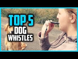 ✅Top 5 Best Dog Whistles To Train Your Dog in 2025