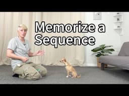 Memorize a sequence of behaviors - Dog Training