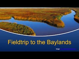 Marine Biology at Home: Baylands Field Trip