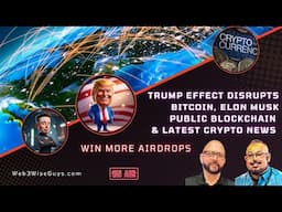 Trump Effect Disrupts Bitcoins 4 Year Cycle? - Elon Musk Public Blockchain - Crypto News