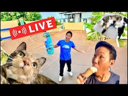 [LIVE] Trick Requests & Hangout From My Backyard Skatepark!