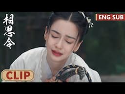 EP26 Clip 玄烈遭追杀身葬火场，绮罗哭到晕厥【相思令 Everlasting Longing】