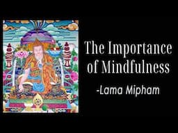 The Importance of Mindfulness | Lama Mipham