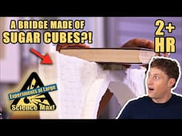 CRAZY EXPERIMENTS | Building a Sugar Cube Bridge | Full Episodes | Science Max