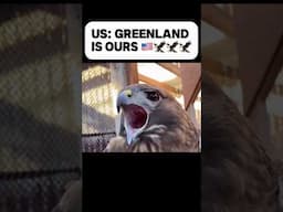 USA: “Greenland Is Ours” 🇺🇸 Denmark: “😏”