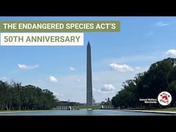 FOUR PAWS USA Celebrates Endangered Species Act’s 50th Anniversary in DC  | FOUR PAWS USA