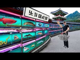 KOREA FISH STORE TOUR!