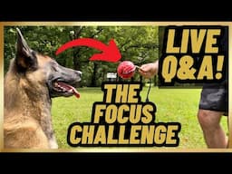 LIVE Q&A // The FOCUS Challenge! 8/23/24