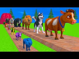 Paint & Animals Cow,Elephant,Lion,Tiger,Gorilla,Dinosaur, Fountain Crossing Transformation Cartoon