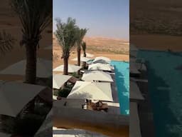 Dubai Desert #shorts #youtube #youtubeshorts