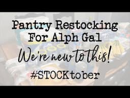 Restocking Our Pantry for Alpha Gal Allergy (Still Figuring It Out!) | Walmart Haul | #Stocktober