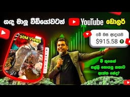 ලංකාවේ අපිට YouTube වලින් කරන්න පුලුවන් දේවල් - රුපියල් නෙමෙයි මේ ඩොලර්