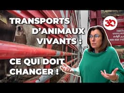 Des transports d'animaux inacceptables... Une eurodéputée s'engage !