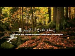 Surat Al-Zumar Ahmad Khedr soothing Quran recitation. سورة الزمر