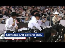 2025 Scottsdale Arabian Horse Show