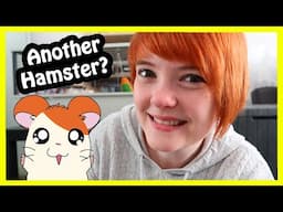 I absolutely did NOT adopt another Hamster... I promise...