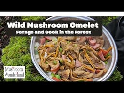 Cooking a Wild Mushroom Omelet in the Forest