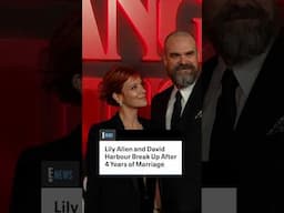 Lily Allen and David Harbour are parting ways. #shorts