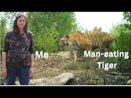 Up Close with Man Eating Tigers #wildlife # tiger# My Wild Adventures #optimumtelevision