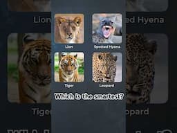 Which is smartest - Lion, Hyena, Leopard, or Tiger?