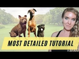 Train Dog Sit with Positive Reinforcement (this will make your dog smarter!)