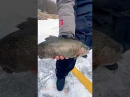 ICE FISHING SUCKS…… 🙄 #shorts #icefishing #troutfishing