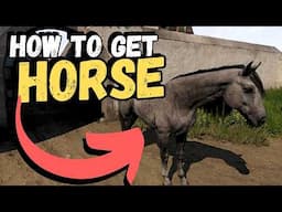 Kingdom Come Deliverance 2: How to get a Horse