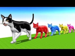 Learn Farm Animals Transformation Into Wild Animals Toys For Kids - Animals Names & Sounds