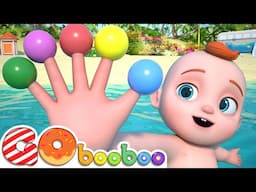 Baby Finger Where Are You? | Finger Family Song | Kids Songs & Nursery Rhymes