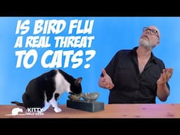 Is the H5N1 Bird Flu a Threat to Cats?