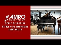 Amro Piano Gallery Staff Selections - Petrof P-173 in Ebony Polish