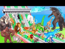 Which Animal vs Dinosaurs Be Fast and Run Away from Giant Spike Roller Trap - Animal Revolt Battle