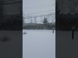 VERMONT SNOW LIKE A DIAMOND  #shortvideo