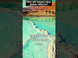 Surprising Dead Sea Prophecy Explained