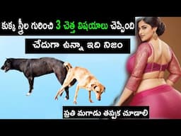 స్త్రీ గురించి కుక్క 3 అసహ్యకరమైన విషయాలు చెప్పింది | చేదుగా ఉన్నా ఇది నిజం | infosecret