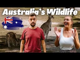 We found Australia's Wildlife beyond Brisbane | VLOG #96