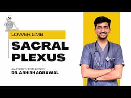 Sacral Plexus || Lower Limb Anatomy || First Year MBBS || Anatomy lectures by Ashish