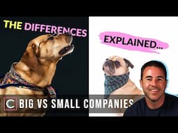 Should I Work for a Small or Large Company?