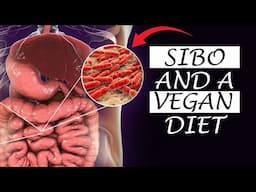 Sibo and a Vegan Diet