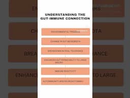 Understanding the Gut-Immune Connection