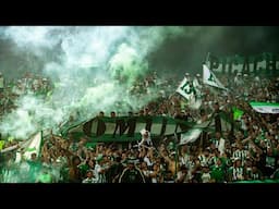 La Hinchada Del Verde Con Su Fiesta Sin Igual 🇳🇬 | Los Del Sur Siempre Presentes.