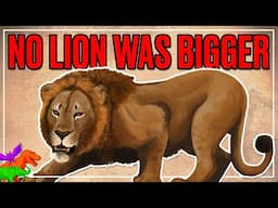 Ice Age Africa Had Largest Lions To Ever Live