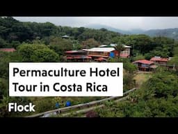 Costa Rica PERMACULTURE HOTEL & Nature Reserve — Ep. 294