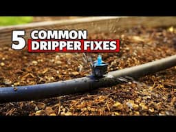 5 Common Drip Emitter Fixes | Troubleshooting Drippers