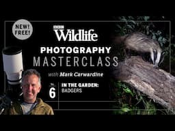 Episode Six: In the garden – badgers