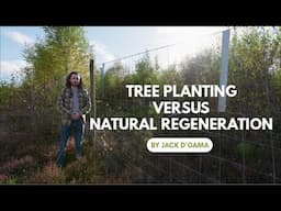 Tree Planting versus Natural Regeneration: the Benefits and Challenges of Each Method