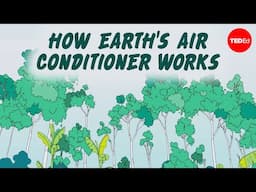 Why is the Amazon Rainforest known as the Earth's air conditioner? - Anna Rothschild