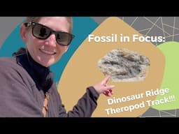 Fossil in Focus: Dinosaur Ridge Theropod Track