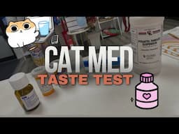 Tasting Cat’s Meds