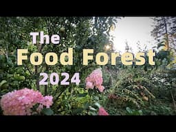 The Food Forest April To October 2024